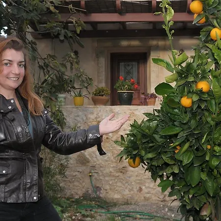 Apartamento Porfyrousa Traditional