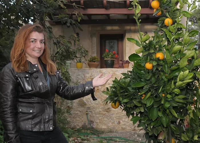 Lejlighed Porfyrousa Traditional